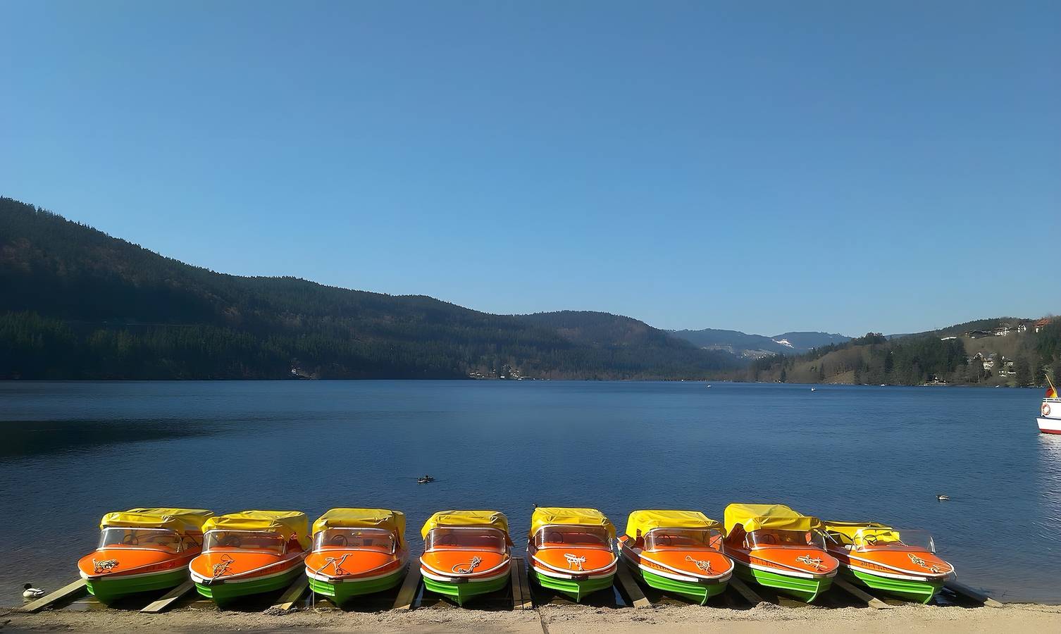 Ganze Wohnung, Ferienwohnung 'Im Heustock, 130qm' mit gemeinsamer Terrasse, gemeinsamem Garten und Wi-Fi in Titisee-Neustadt, Südschwarzwald