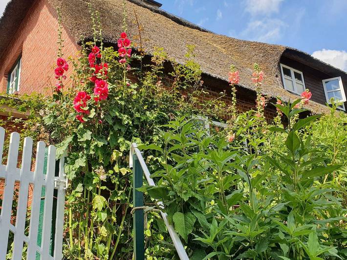 Ferienhaus mit Meerblick für 5 Personen, mit Ausblick und Garten, kinderfreundlich in Nordstrand - 4