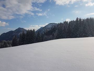Ferienwohnung für 5 Personen in Jungholz, Bayerische Alpen, Bild 4