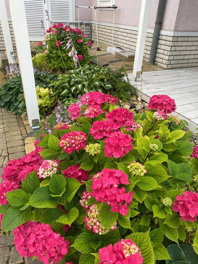 Villa für 8 Personen, mit Ausblick und Seeblick sowie Garten, mit Haustier am Balaton - 3