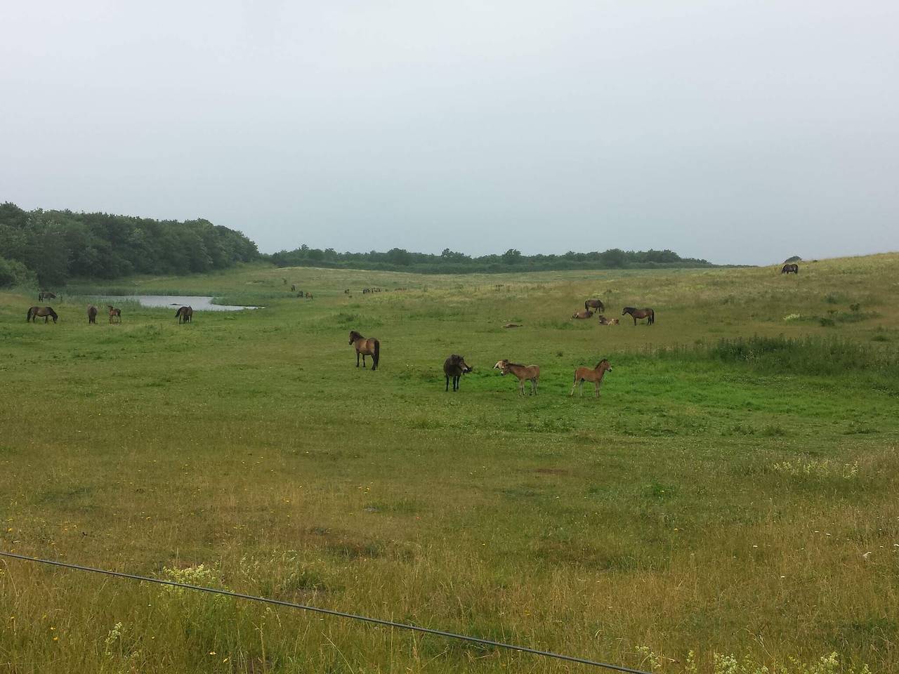 Luxus Strandhaus -- By Traum Ferienwohnungen in Bagenkop, Langeland