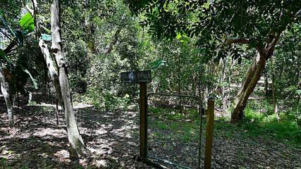 Bungalow für 6 Personen in Sunshine Coast, Queensland, Bild 3