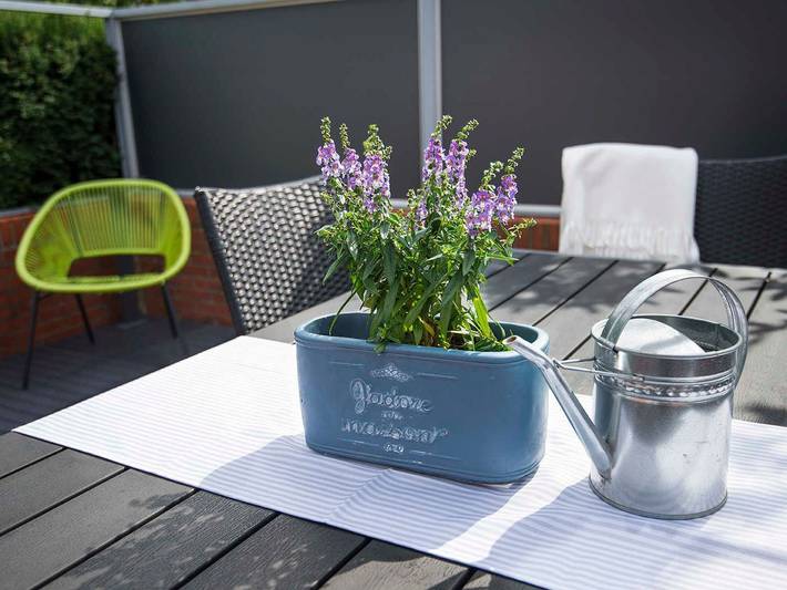 Ferienhaus für 4 Personen, mit Garten und Terrasse in Leer - 4