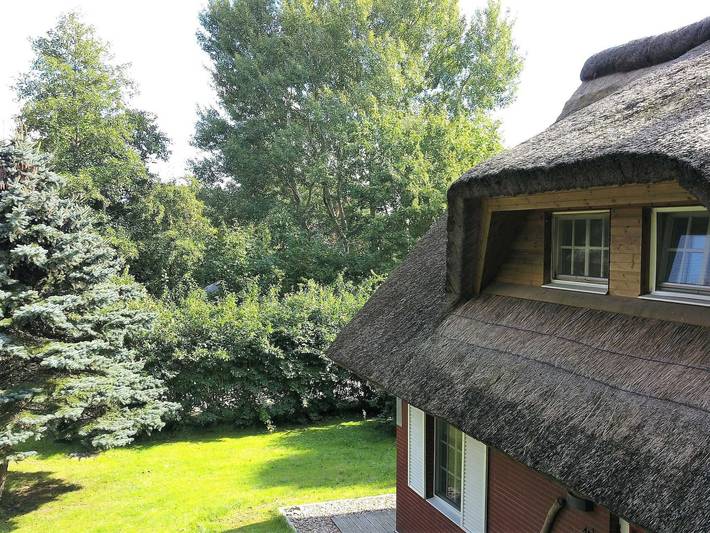 Ferienhaus für 5 Personen, mit Terrasse und Garten in Poseritz - 4