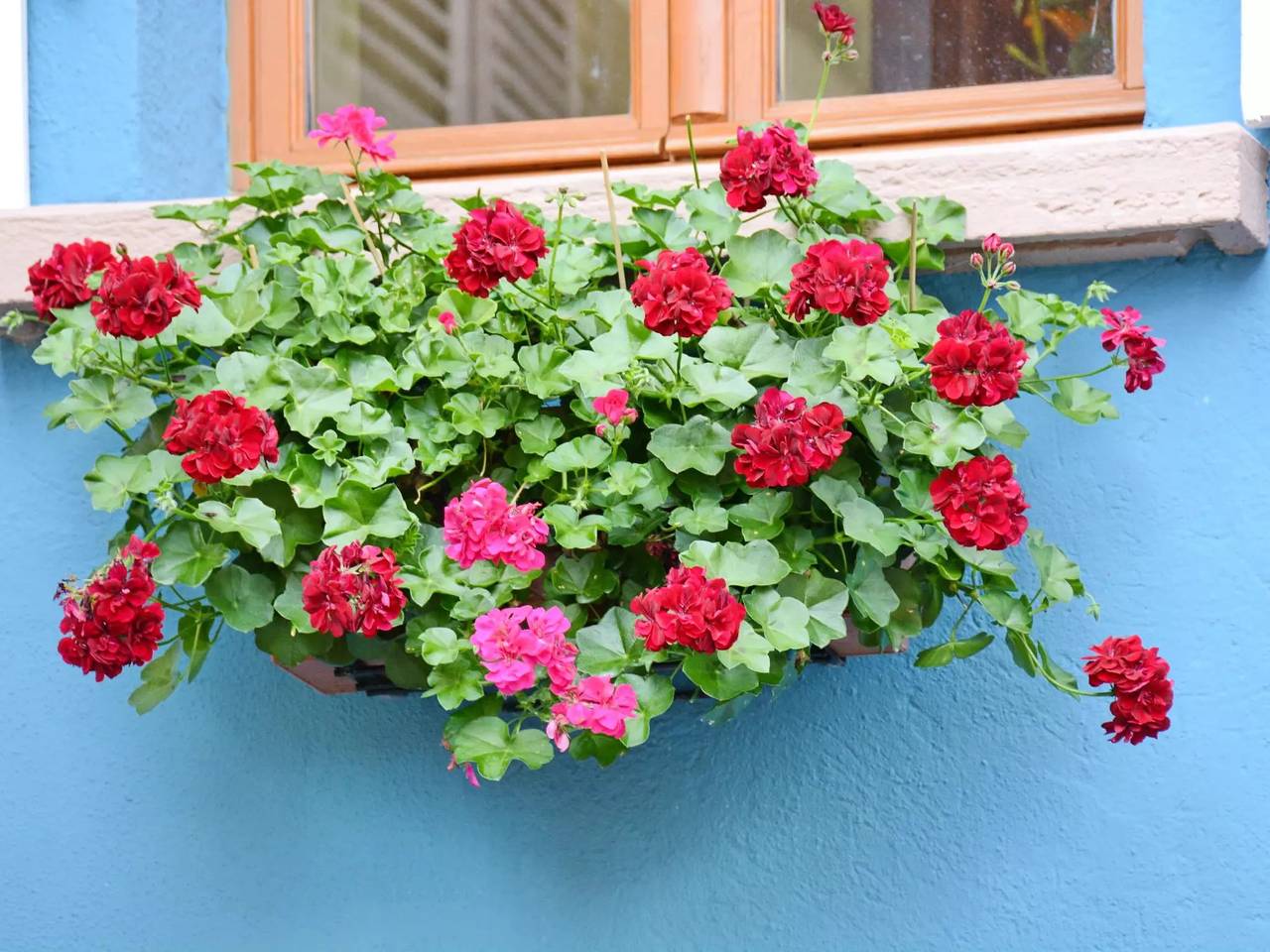 Casa 2 Personas in Bergheim (Alsacia), Parque natural regional de los Ballons des Vosges