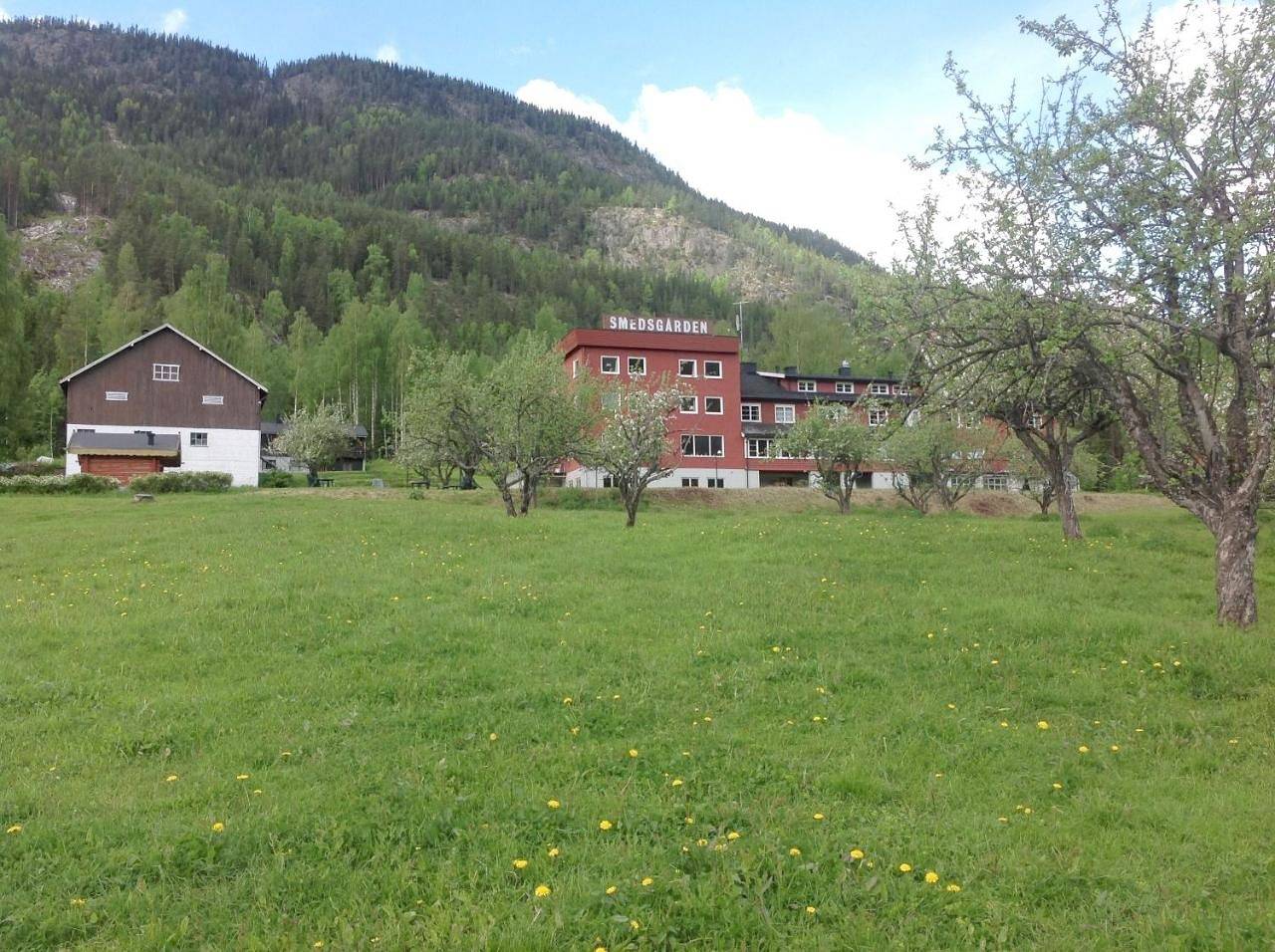 Smedsgården Hotel in Nesbyen