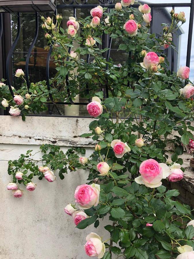 Chambre d’hôte pour 2 personnes, avec terrasse et jardin à Beaune - 3