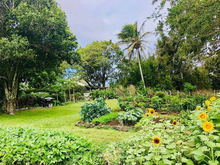 Vacation rental for 6 people, with terrace and yard on the Island of Hawaii