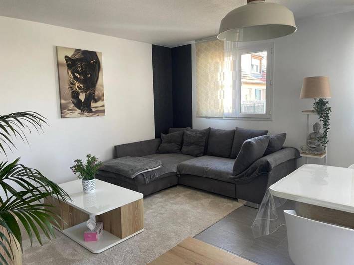 Gîte pour 6 personnes, avec terrasse dans Logelbach - 4