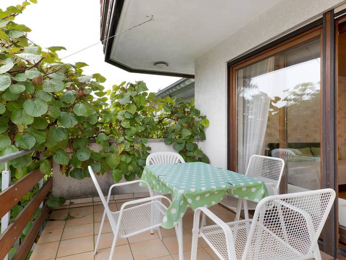 Ferienwohnung für 6 Personen, mit Terrasse und Garten in Sinsheim - 3
