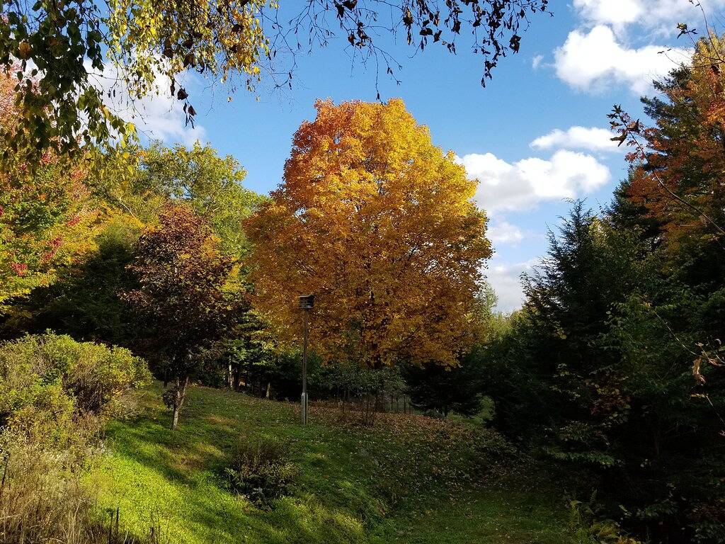 Enchanted Forest Retreat in der Nähe von Mt. Sunapee: Skifahren, wandern, geniessen in unserem Spa! in Newbury (NH), New Hampshire