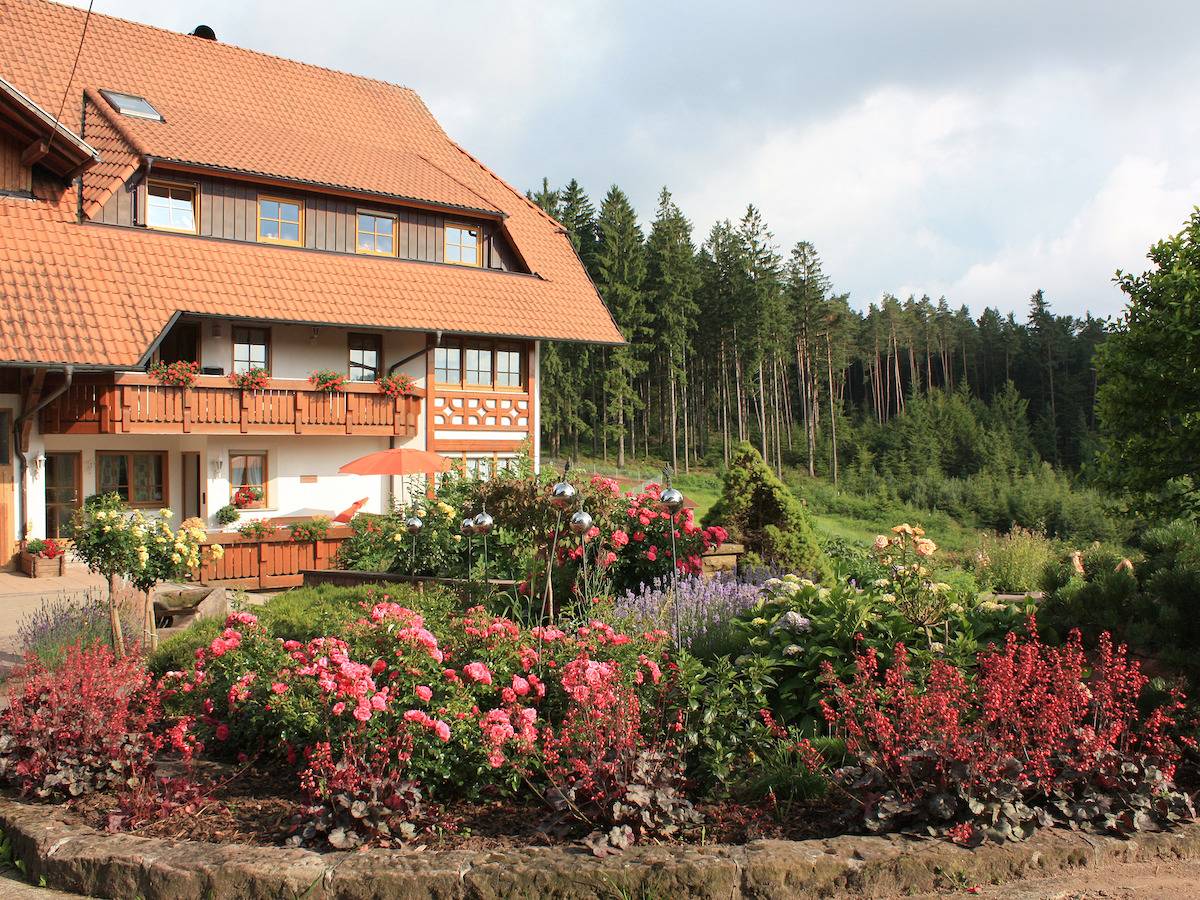 Schlosshof - der Urlaubsbauernhof - Neue Leistung in Elzach, Central Black Forest