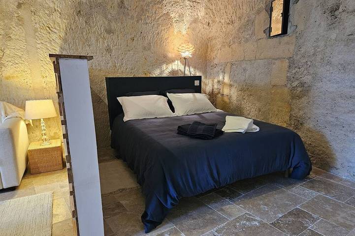 Location de vacances pour 4 personnes, animaux acceptés à Rochecorbon - 2