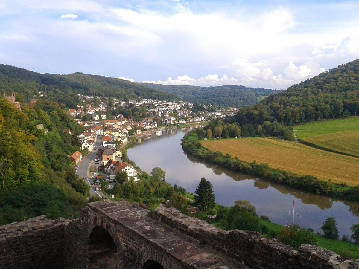 Appartement entier, Ferienwohnung Darsberg in Neckarsteinach, Bergstraße