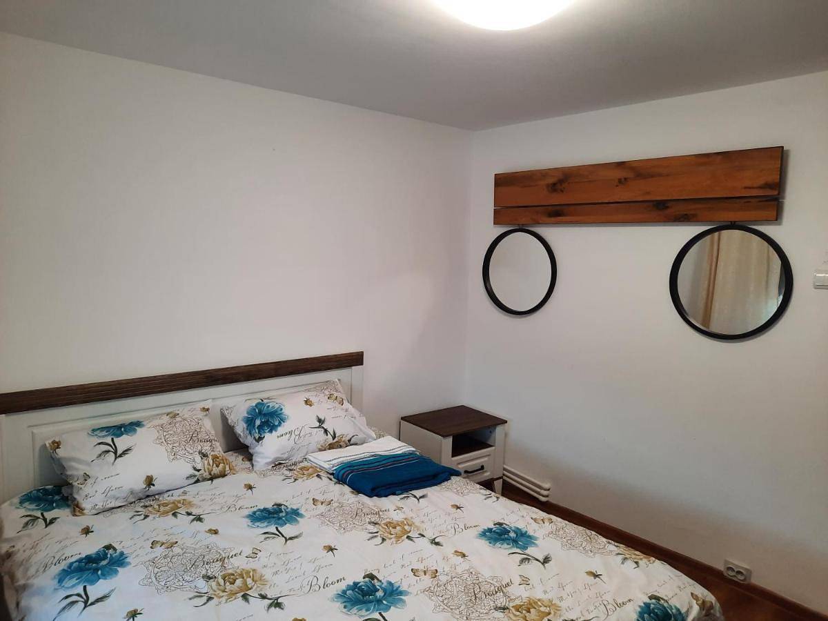 Appartement entier, Apartament în regim hotelier in Deva (Roumanie), Carpates