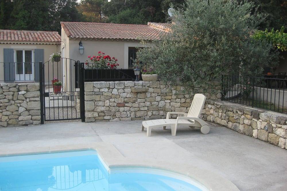 Les oliviers ensoleillés in La Motte-d'Aigues, Parc naturel régional du Luberon