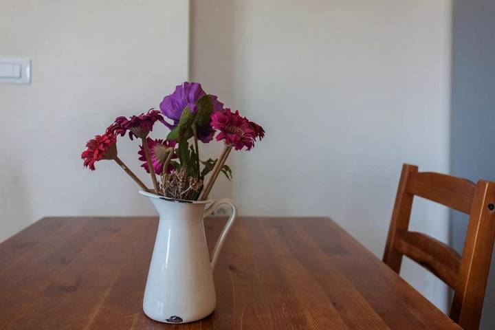 Gîte pour 4 personnes, avec terrasse et vue, animaux acceptés dans Palaiochora - 4