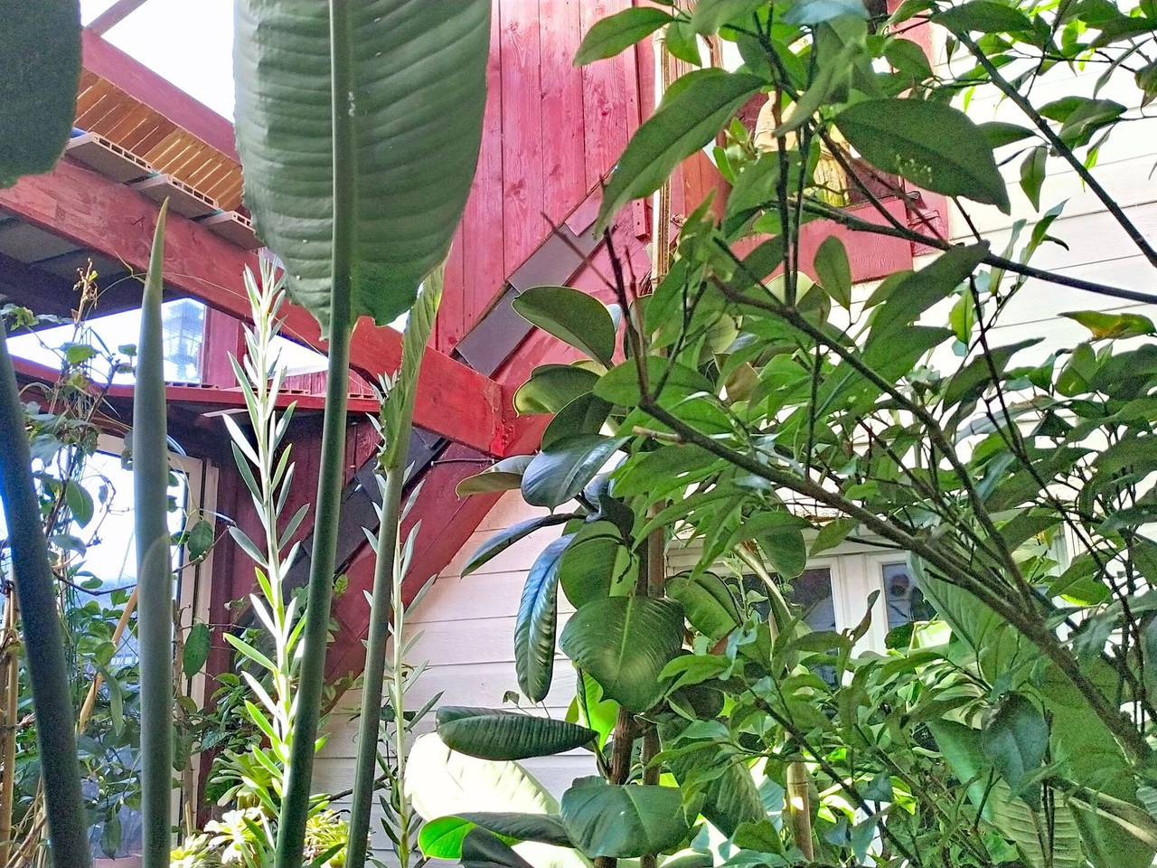 Le Nautilus - Le Nautilus 600.1 in Agon-Coutainville, Coutances