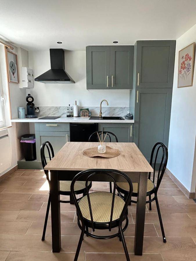 Location de vacances pour 4 personnes, avec terrasse et jardin, animaux acceptés à Saran - 4