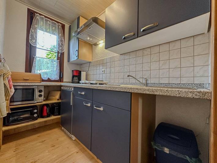 Ferienhaus am Hang im Thüringer Wald in Schleusegrund, Hildburghausen und Umgebung