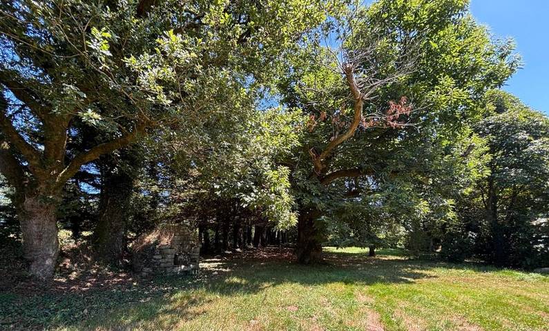 Location de vacances pour 12 personnes, avec jardin ainsi que terrasse et vue à Plouray - 2