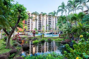 Beach Rental for 4 Guests in Kaanapali, West Maui, Picture 1