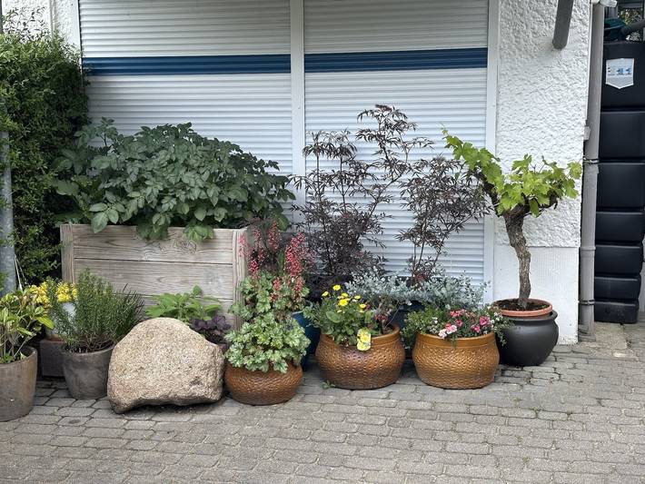 Bungalow für 2 Personen, mit Garten in Berlin - 3