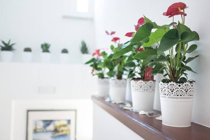 Chambre d’hôte pour 2 personnes, avec balcon et vue à Brindisi - 3