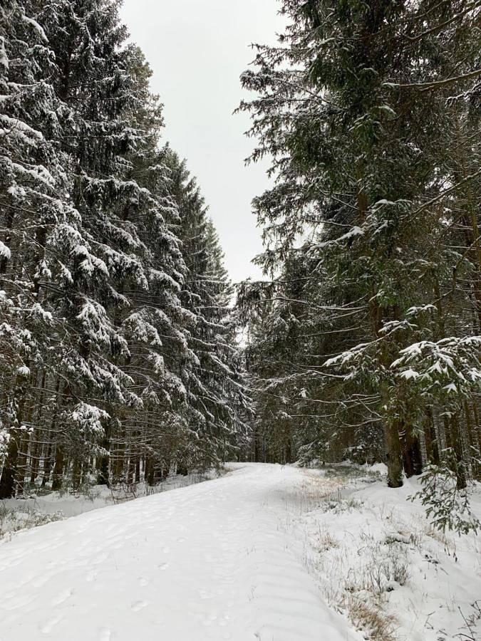 Gîte pour 2 personnes, avec vue et terrasse à Eupen - 4