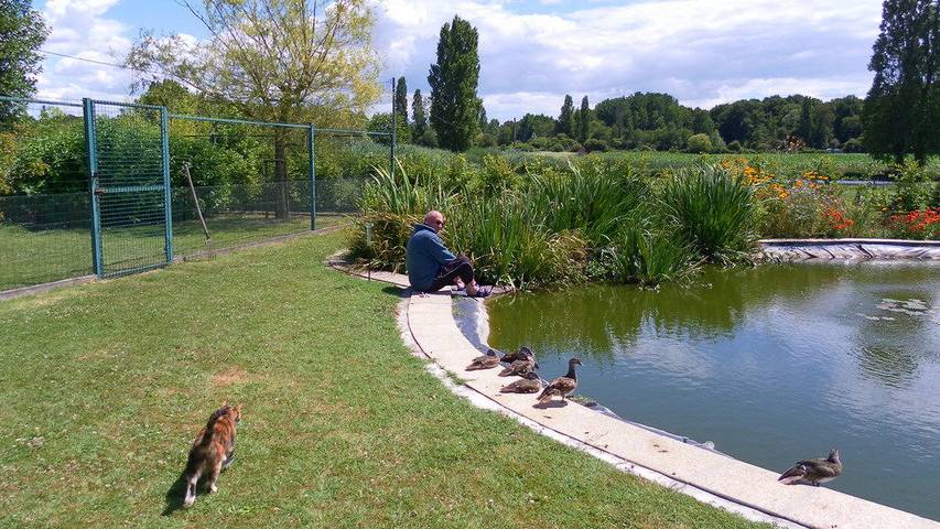Gîte pour 4 personnes, avec jardin ainsi que piscine et terrasse dans Centre-Val de Loire - 2
