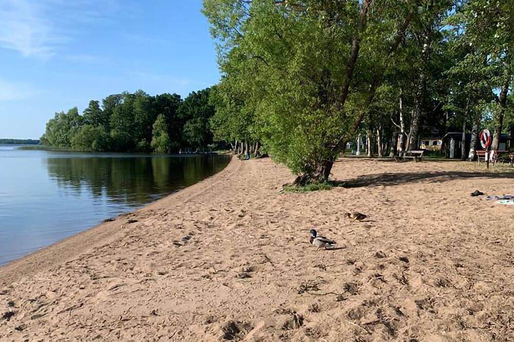 Tolles Zuhause in Hörby in Hörby, Skane