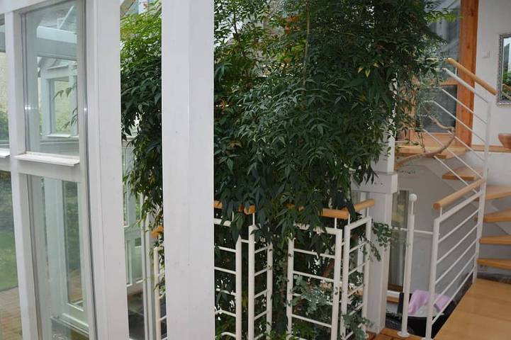 Ferienhaus für 4 Personen, mit Garten in Hambach (Neustadt) - 3