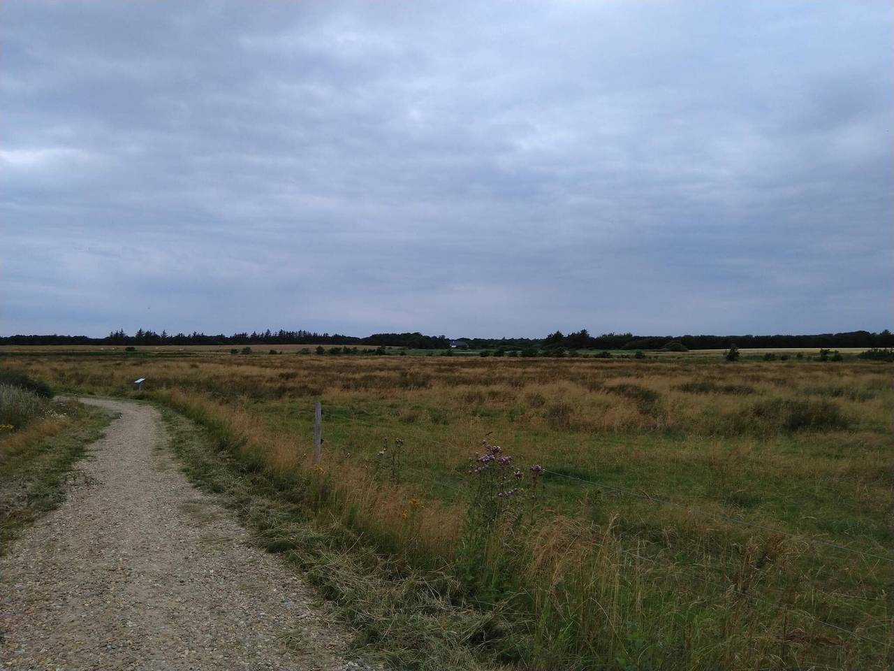 5 Personen Ferienhaus in Esbjerg V-By Traum in Esbjerg, Esbjerg und Umgebung