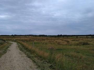 Ferienhaus für 5 Personen in Esbjerg, Dänemark an der Nordsee, Bild 3