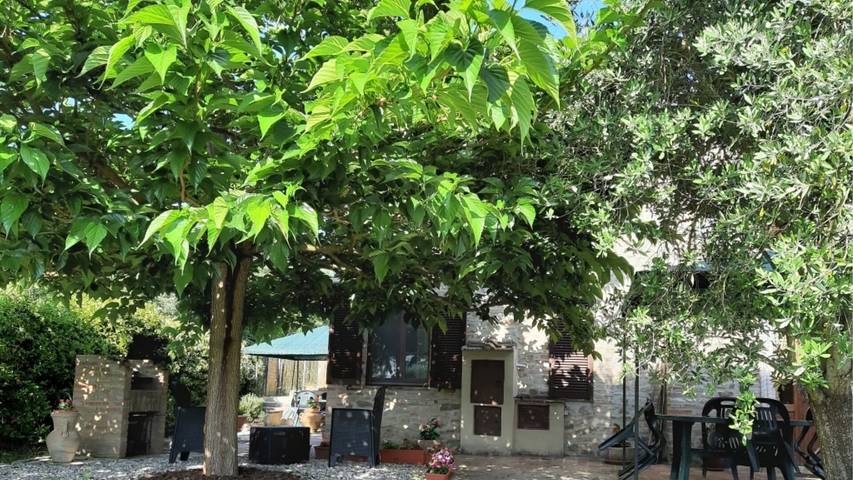 Gîte pour 7 personnes, avec piscine à San Giovanni d'Asso - 4