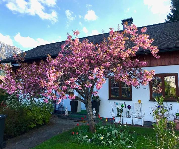 Chalet für 6 Personen, mit Balkon und Terrasse sowie Garten und Ausblick in Bad Aussee