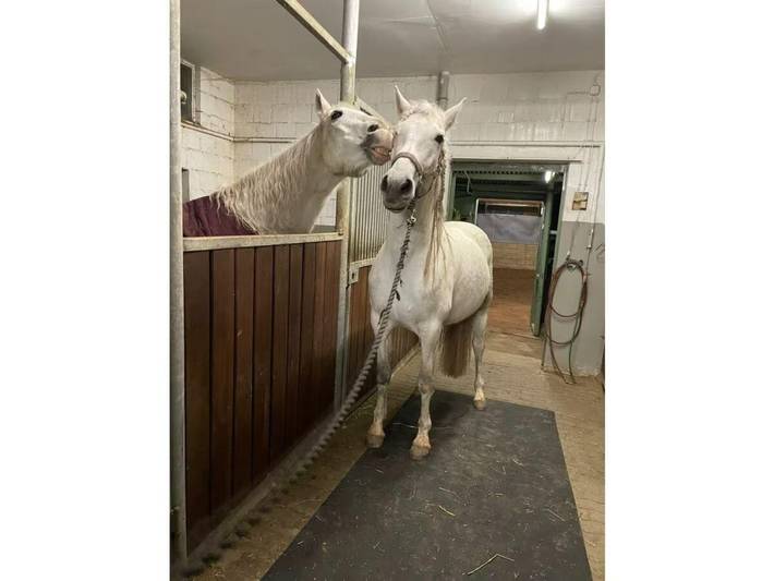 Ferienwohnung für 3 Personen in Bad Sooden-Allendorf