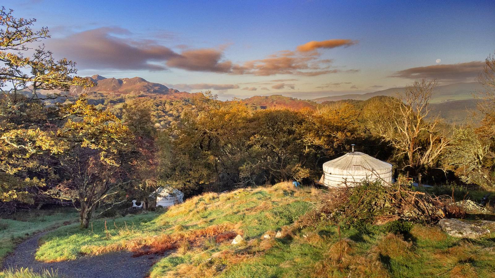 Pandy Mongolian Yurt in Snowdonia