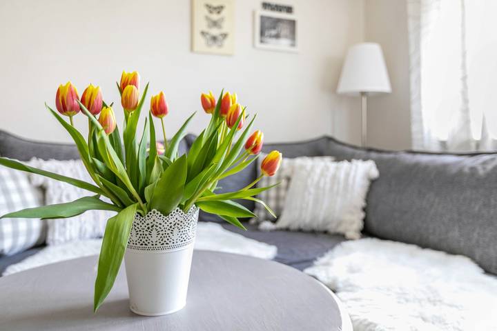 Holiday Home 'Nilsson' with Private Terrace, Private Garden and Wi-Fi in Heide, Heide and surroundings