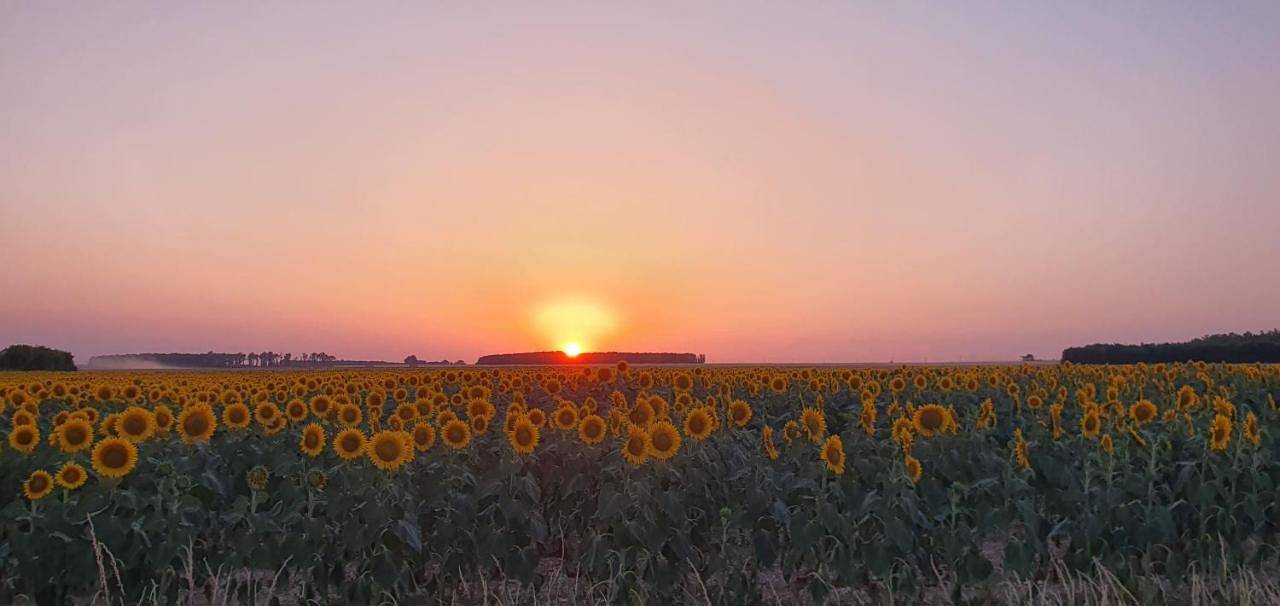 Les Fleurs de La Brise in Nueil-sous-Faye, Vienne (France)