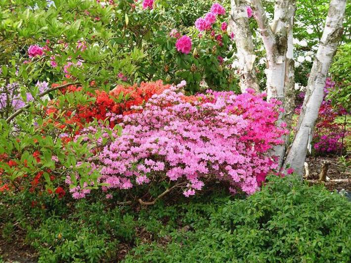 Ferienhaus für 2 Personen, mit Terrasse und Garten in der Lüneburger Heide - 4