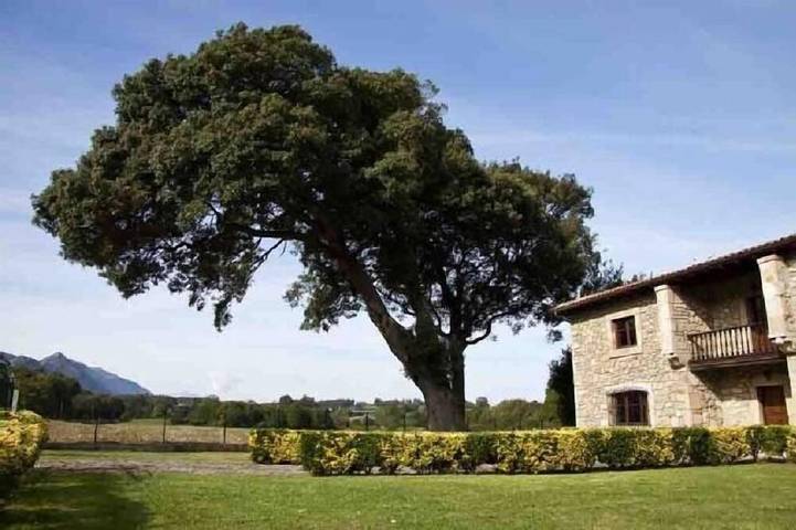 Gîte pour 10 personnes, avec Balcon et Jardin