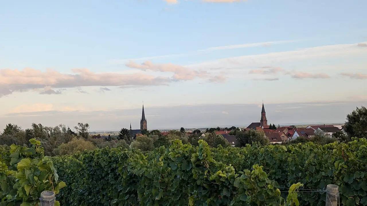 Ganze Ferienwohnung, Ferienwohnung für 7 Personen (100 m²) in Edenkoben in Edenkoben, Südliche Weinstraße
