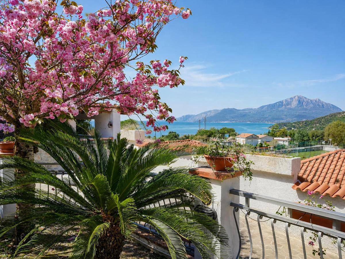 La tela di Penelope in Villammare, Vibonati