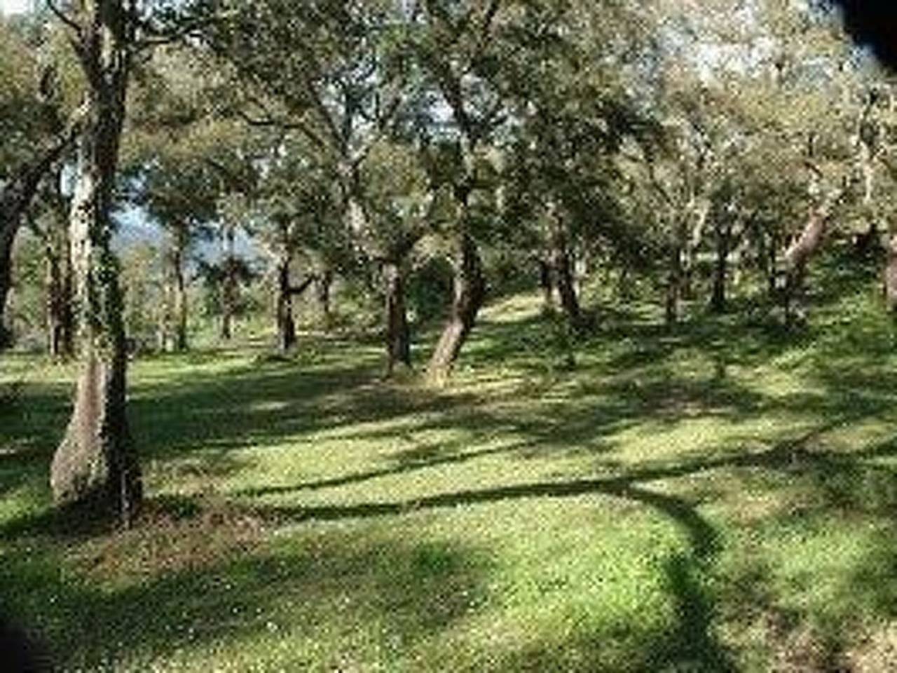 Wunderschönes Ferienhaus mit eigener Terrasse in Sartène, Distrito de Sartène