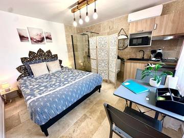 Gîte pour 2 personnes, avec jardin ainsi que piscine et jacuzzi à Saint-Laurent-d'Aigouze