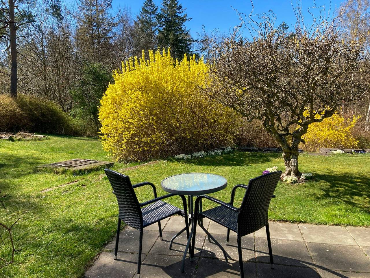 Familienferienhaus mit großem Garten bei Ebeltoft in Ebeltoft (Stadt), Ebeltoft