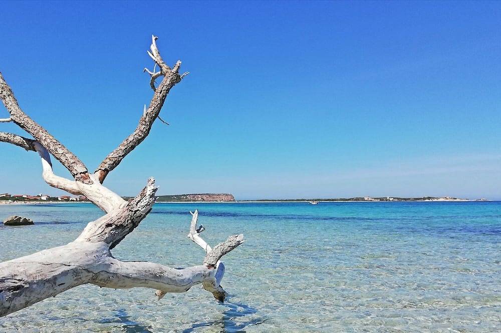 Marina Di San Vero Milis: Ferienhaus / Villa - Marina di San Vero Milis in Sa Rocca Tunda, San Vero Milis