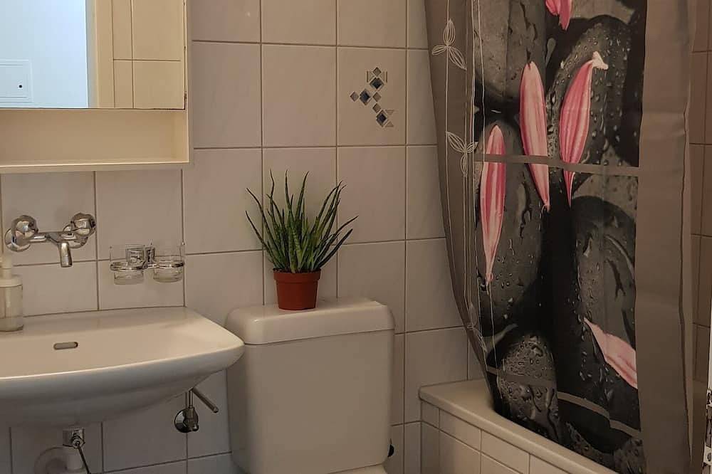 Ganze Wohnung, Budgetfreundliches Studio Typ Wohnung im Zentrum von Luzern in Luzern, Vierwaldstättersee