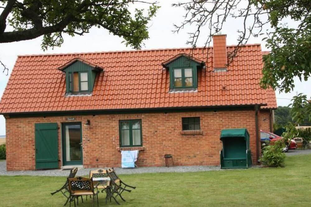 Kranich in Ummanz-Lüßvitz in Ummanz, Rügen